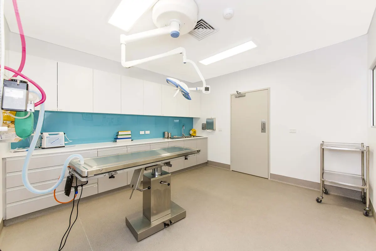 Emergency Vet Hospital Wangara — completed surgical theatre with operating lights, stainless table and teal glass splashback.